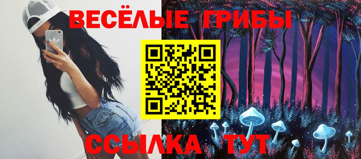 Галлюциногенные грибы мицелий  Вход с VPN  Коркино  Галлюциногенные грибы мицелий 